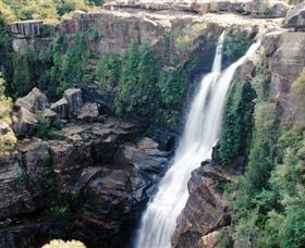 Minnamurra Rainforest Centre: Budderoo National Park - Holiday Jervis Bay 0