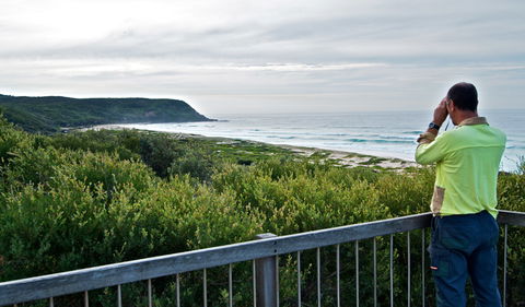 Tea Tree Picnic Area And Lookout - Holiday Jervis Bay 2