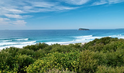 Tea Tree Picnic Area And Lookout - Holiday Jervis Bay 3