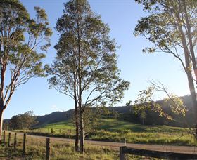 Tourist Drive 2 - Bucketts Way - Holiday Jervis Bay 1