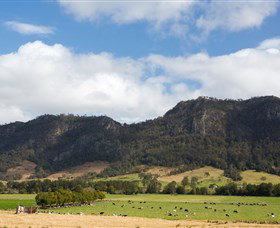 Tourist Drive 2 - Bucketts Way - Holiday Jervis Bay 2