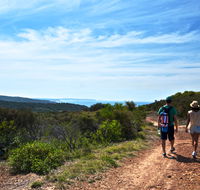 Moonee Beach trail - Holiday Jervis Bay
