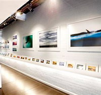 Aquabumps - Holiday Jervis Bay