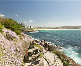 Bondi To Coogee Coastal Walk - Holiday Jervis Bay 3