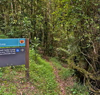 Red Cedar loop - Holiday Jervis Bay