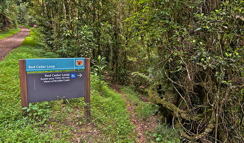 Red Cedar Loop - Holiday Jervis Bay 0