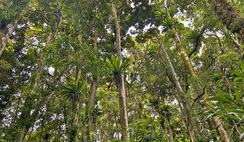 Red Cedar Loop - Holiday Jervis Bay 2