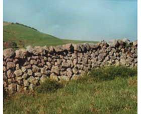 Historic Dry Stone Walls - Holiday Jervis Bay 0