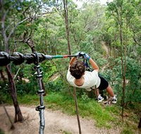 TreeTop Challenge - Holiday Jervis Bay