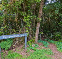 Falcorostrum loop walking track - Holiday Jervis Bay