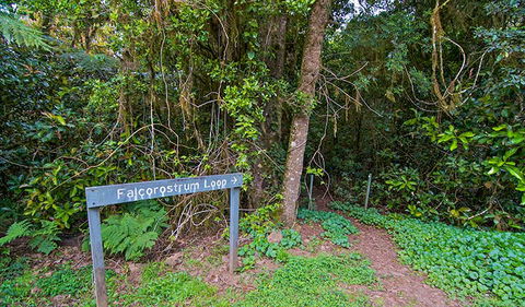 Falcorostrum Loop Walking Track - Holiday Jervis Bay 0