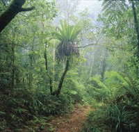 Wagawn - Holiday Jervis Bay