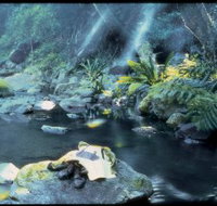 Coomera circuit - Holiday Jervis Bay