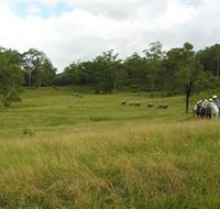 Numinbah Valley Adventure Trails - Holiday Jervis Bay