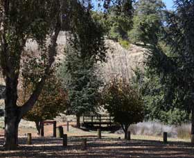 Oak Grove Walk, Balingup - Holiday Jervis Bay 2