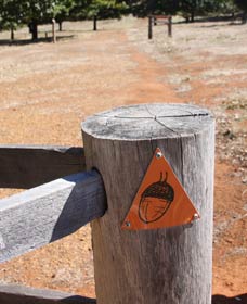 Oak Grove Walk, Balingup - Holiday Jervis Bay 3