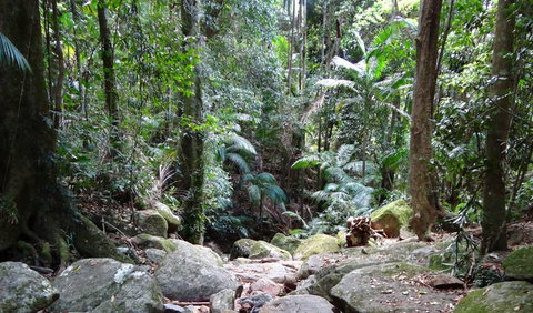 Wollumbin National Park - Holiday Jervis Bay 2