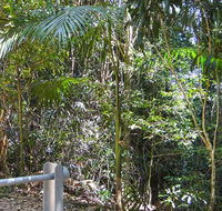 Goorgana walking track - Holiday Jervis Bay