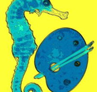 Woolgoolga Art Gallery - Holiday Jervis Bay