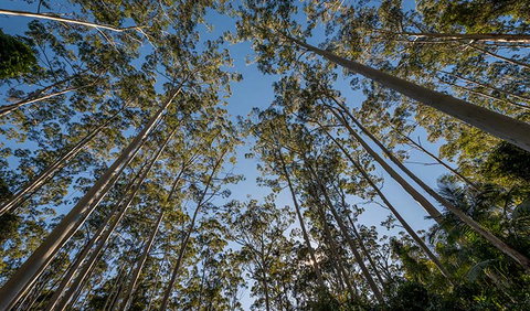 Queens Lake Nature Reserve - Holiday Jervis Bay 2