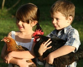 Summerland House Farm - House With No Steps - Holiday Jervis Bay 2