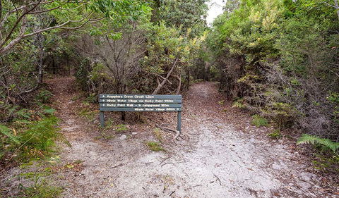 Angophora Grove Walking Track - Holiday Jervis Bay 0