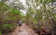 Angophora Grove Walking Track - thumb 1