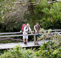 Wilsons Headland walking track - Holiday Jervis Bay
