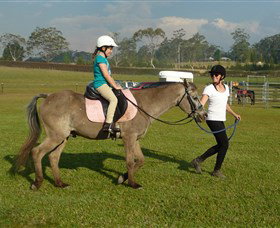 Port Macquarie Horse Riding Centre - Holiday Jervis Bay 0