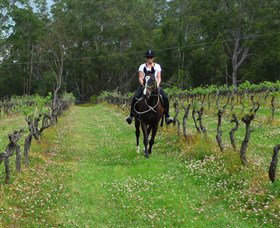 Port Macquarie Horse Riding Centre - Holiday Jervis Bay 1