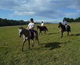 Port Macquarie Horse Riding Centre - Holiday Jervis Bay 5