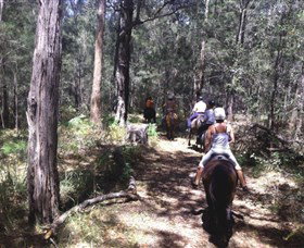 Port Macquarie Horse Riding Centre - Holiday Jervis Bay 4