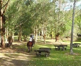 Port Macquarie Horse Riding Centre - Holiday Jervis Bay 6