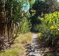 North Head walking track - Holiday Jervis Bay