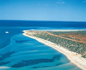 Monkey Mia WA Holiday Jervis Bay