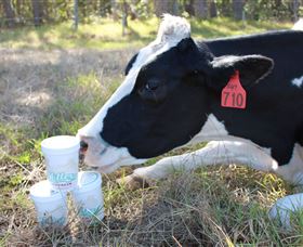 Millers Ice Cream - Holiday Jervis Bay 2