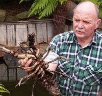 Lobster Ponds - Holiday Jervis Bay