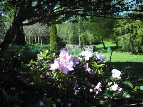 Annsleigh Gardens And Cafe - Holiday Jervis Bay 3