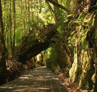 Philosopher Falls - Holiday Jervis Bay
