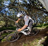 All Terrain Cycles - Holiday Jervis Bay