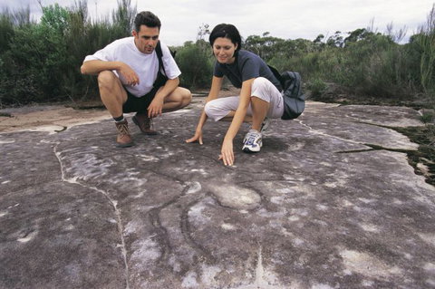 Sydney Coast Walks - Holiday Jervis Bay 3