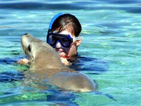 Gawler Ranges Wilderness Safaris - Holiday Jervis Bay 2