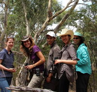 Echidna Walkabout Nature Tours - Holiday Jervis Bay