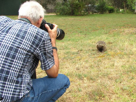 Echidna Walkabout Nature Tours - Holiday Jervis Bay 5