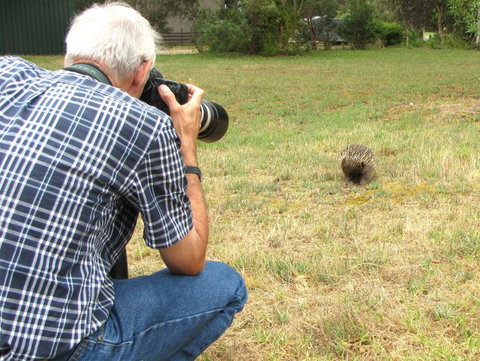 Echidna Walkabout Nature Tours - Holiday Jervis Bay 6