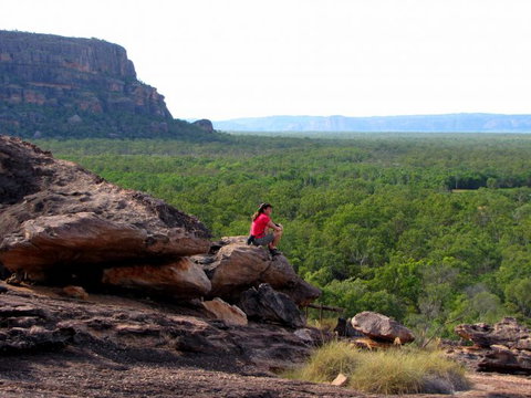 Echidna Walkabout Nature Tours - Holiday Jervis Bay 21