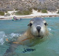 Calypso Star Charters - Holiday Jervis Bay