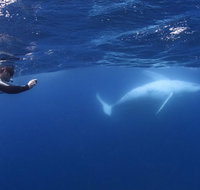 Sunreef Mooloolaba - Holiday Jervis Bay