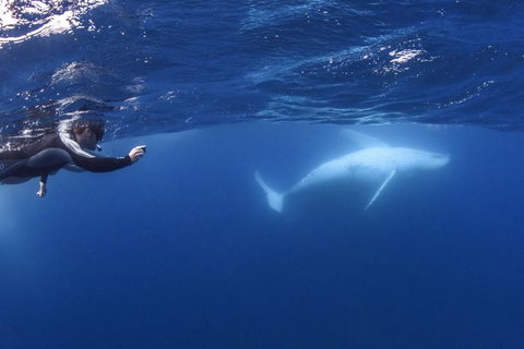 Sunreef Mooloolaba - Holiday Jervis Bay 2