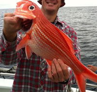 Goin' Off Safaris - Holiday Jervis Bay